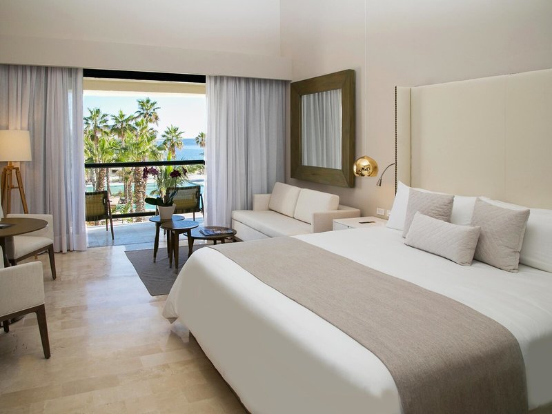 Paradisus Los Cabos - Adults Only 40