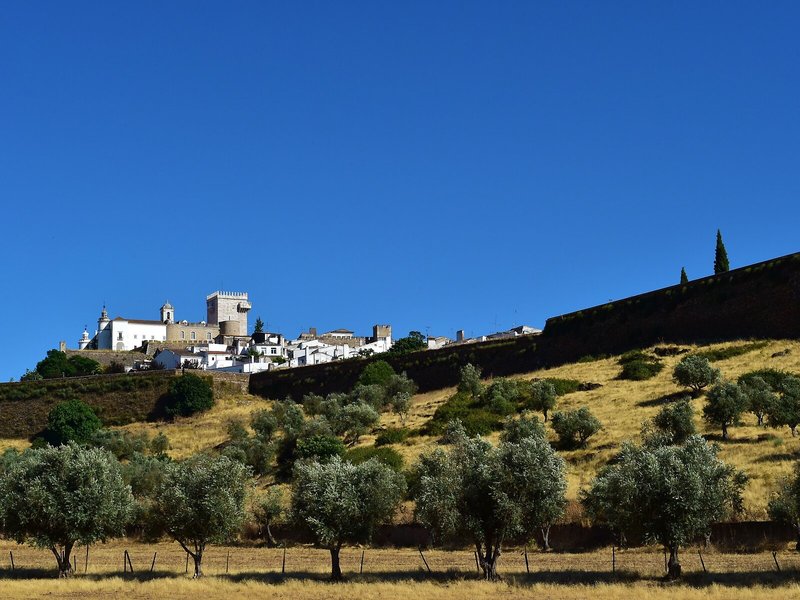 Pousada Castelo Estremoz - Historic Hotel 7