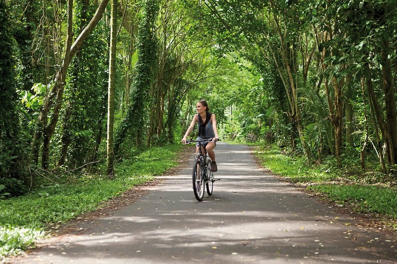 Ramayana Candidasa 28