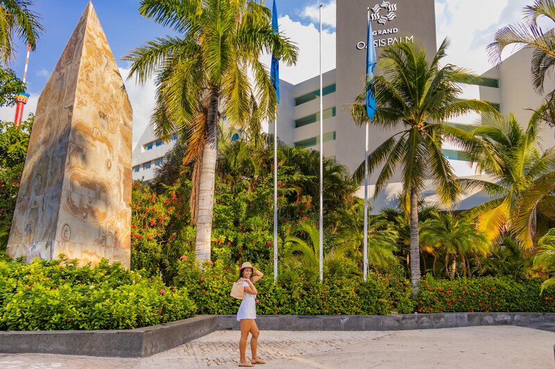 Oasis Palm 1