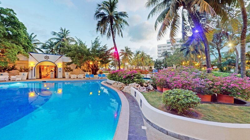 Oasis Palm 3