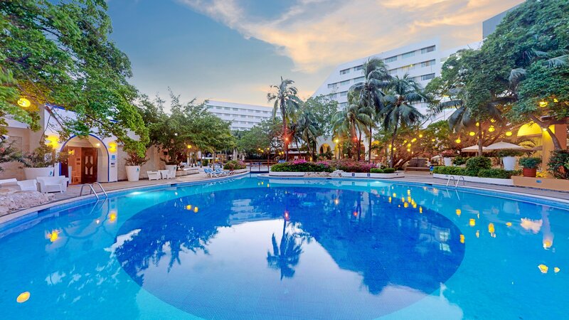 Oasis Palm 4