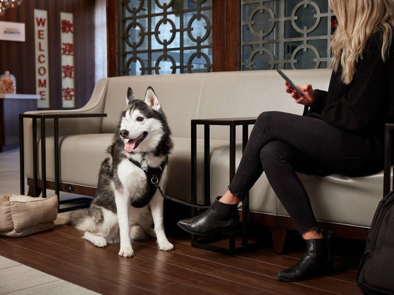 Fairfield Inn & Suites Washington, DC/Downtown 22