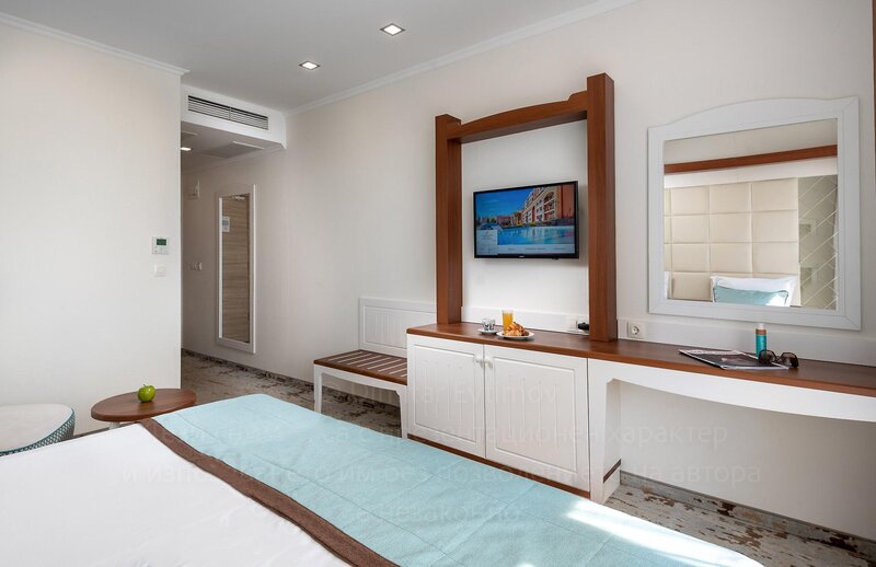 Festa Via Pontica 33