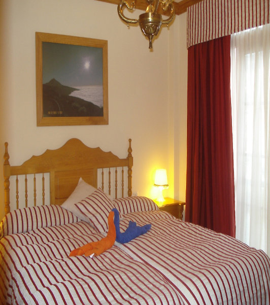 Apartamentos Estrella del Norte 4