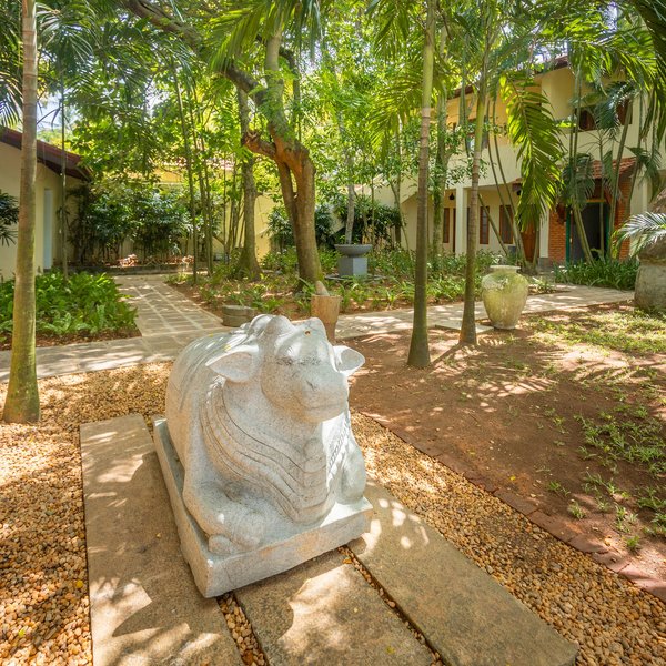 Roman Life Ayurveda Resort 28