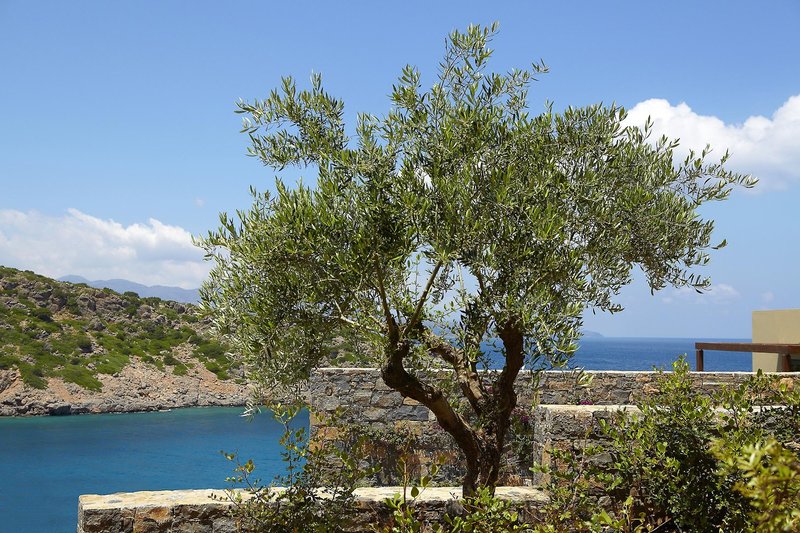 Daios Cove Luxury Resort & Villas 24