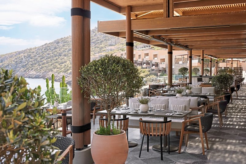 Daios Cove Luxury Resort & Villas 10 - Terrace