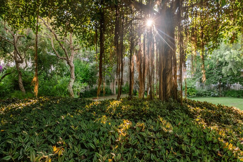 Ali Bey Resort Sorgun 70