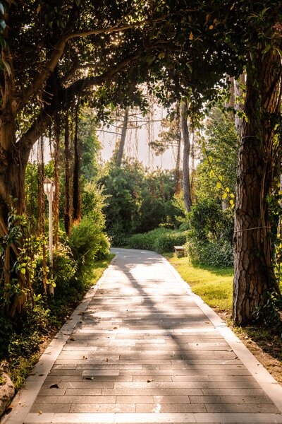 Ali Bey Resort Sorgun 138