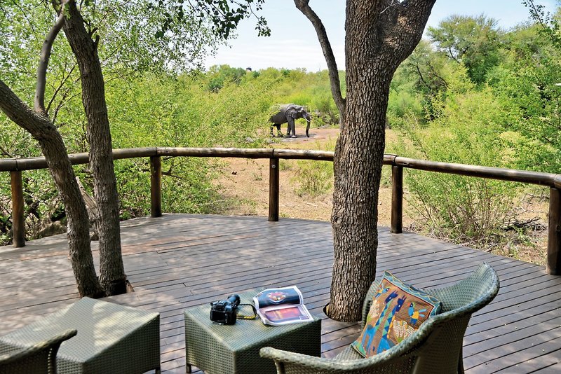 Motswiri Private Safari Lodge 14
