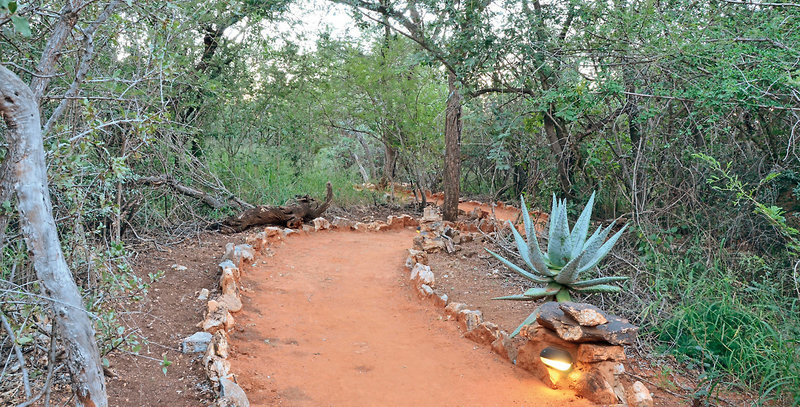 Motswiri Private Safari Lodge 18