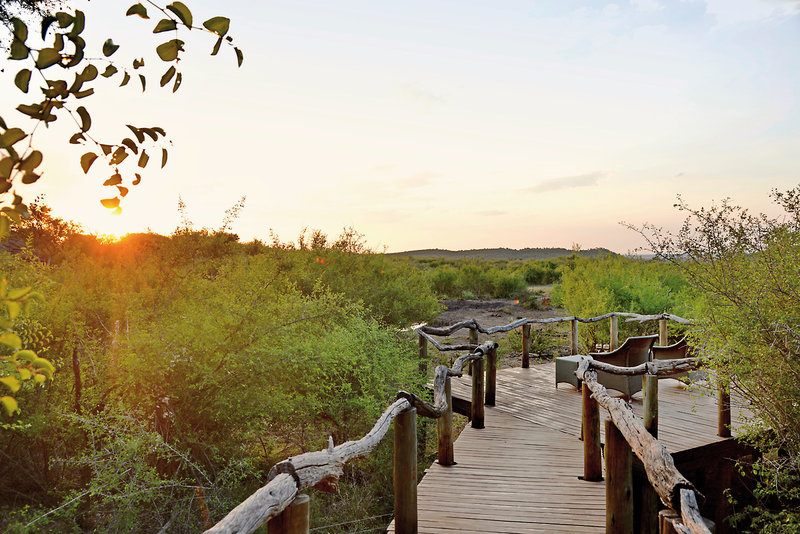 Motswiri Private Safari Lodge 25