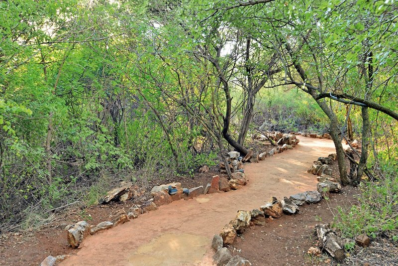 Motswiri Private Safari Lodge 26