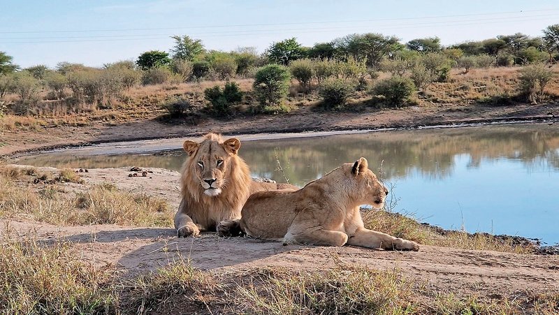 Motswiri Private Safari Lodge 33