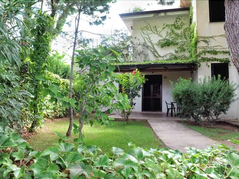 Villaggio Pineta Petto Bianco 3