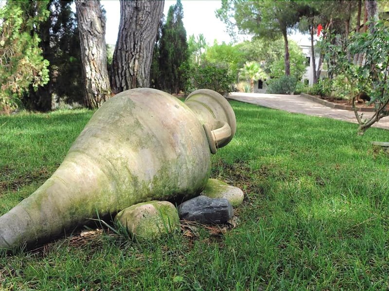 Villaggio Pineta Petto Bianco 6