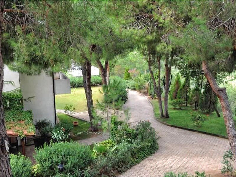 Villaggio Pineta Petto Bianco 7