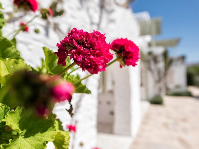 Saint Andrea Seaside Resort 7