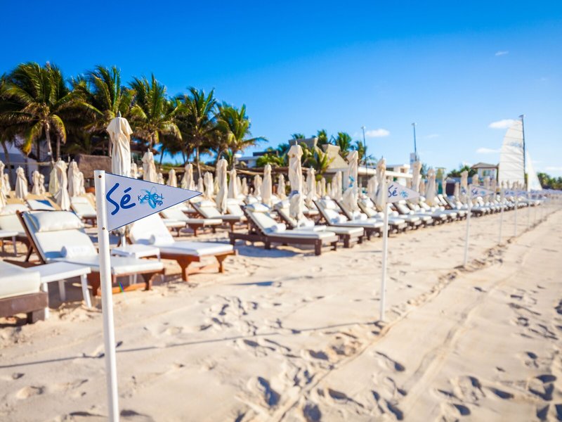 Tukan Hotel Playa del Carmen 12