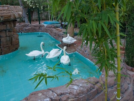 MG Club Akman Beach Hotel 11