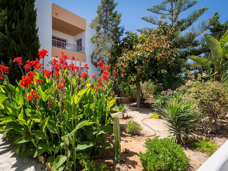 Apartamentos Zodiac 1