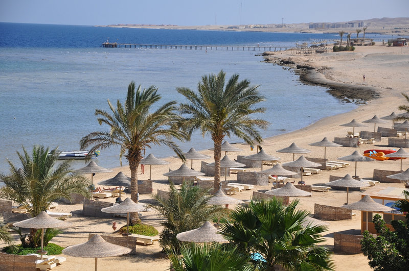 Shoni Bay 7