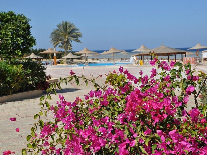 Paradise Club Shoni Bay 6