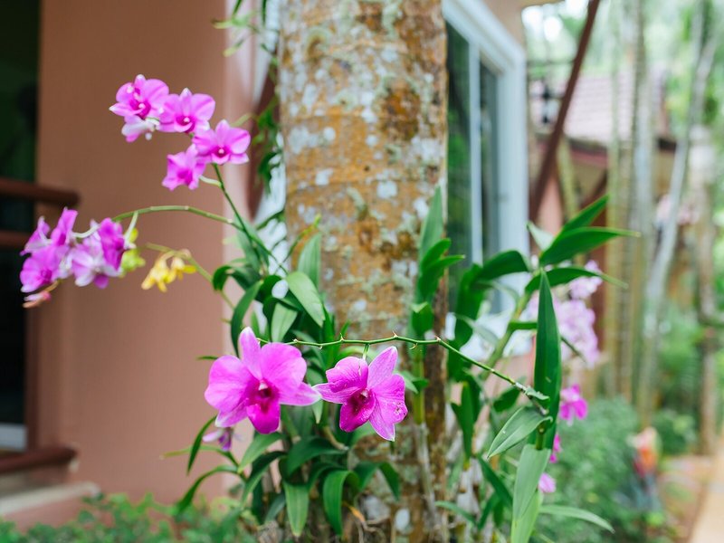 Thai Modern Resort 8