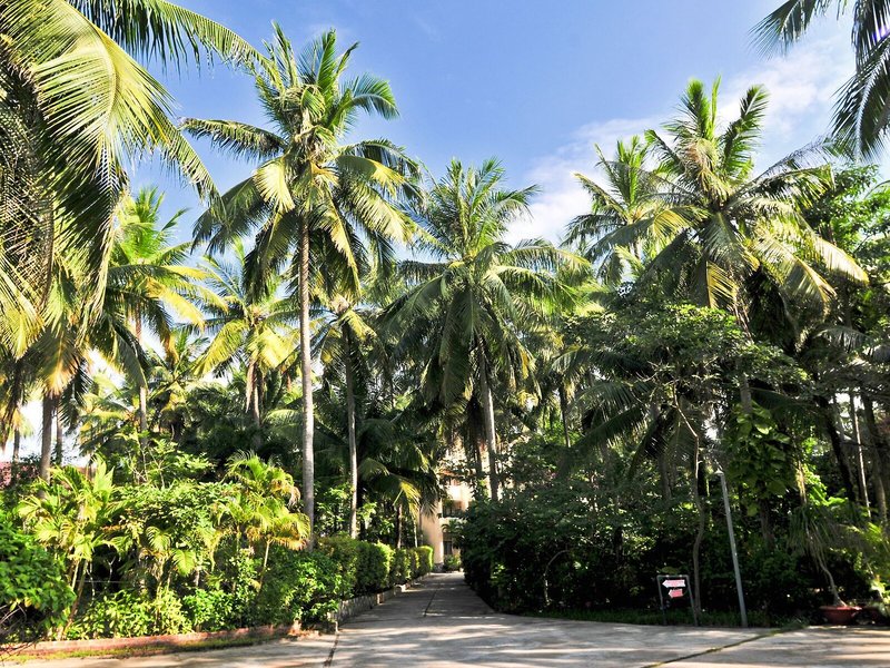 Sea Star Resort 7