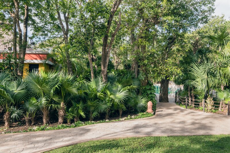 Iberostar Waves Quetzal 13