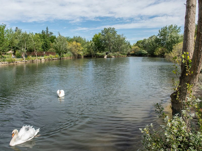 Résidence Les Rives du Lac 4