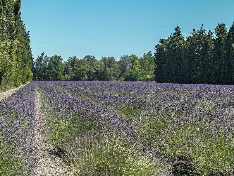 Résidence Les Rives du Lac 5