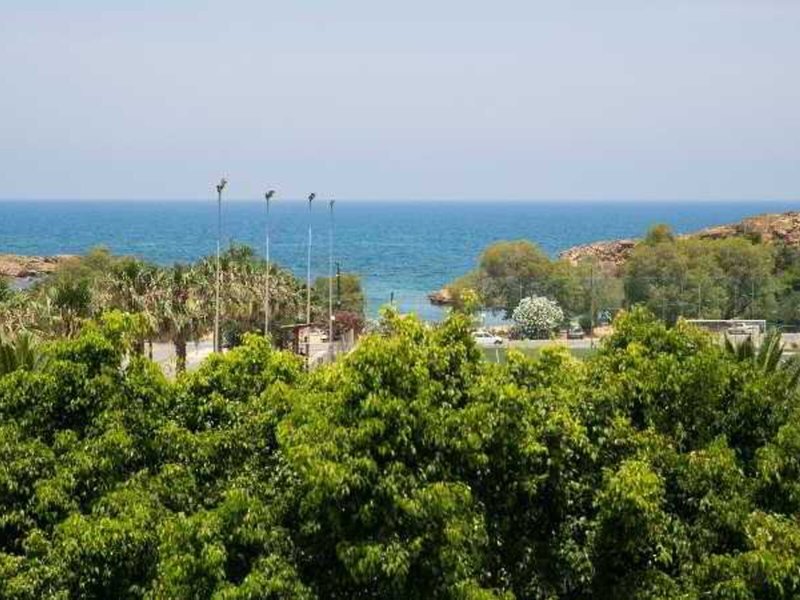 Elotia 6