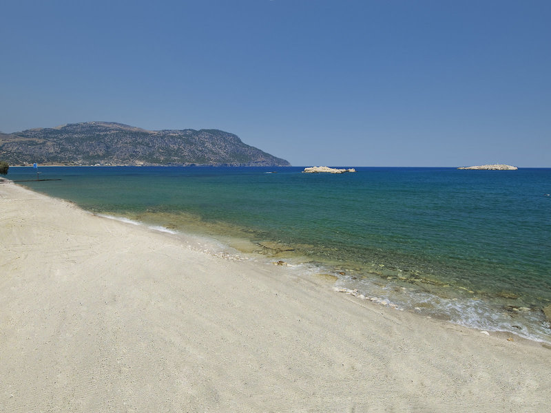 Alimounda Mare 43