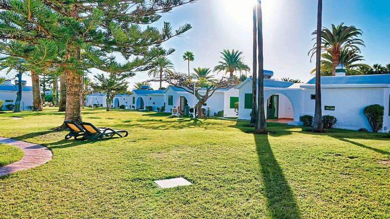 Canary Garden Club 4