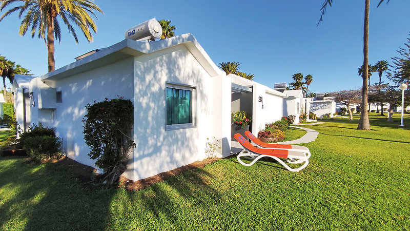 Canary Garden Club 6