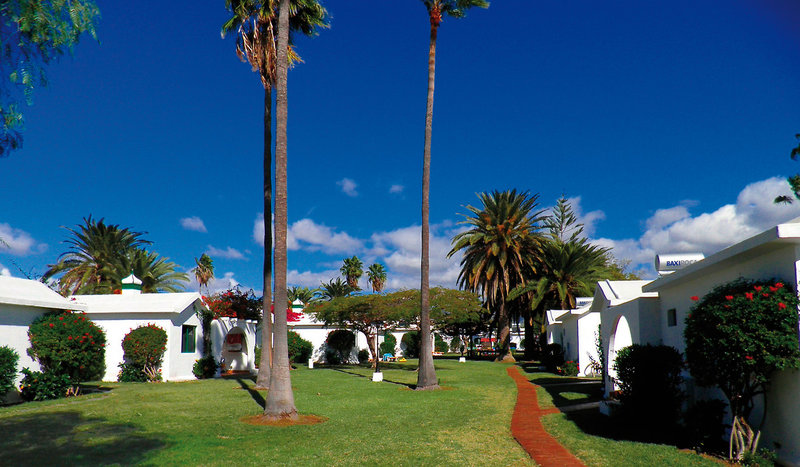 Canary Garden Club 19