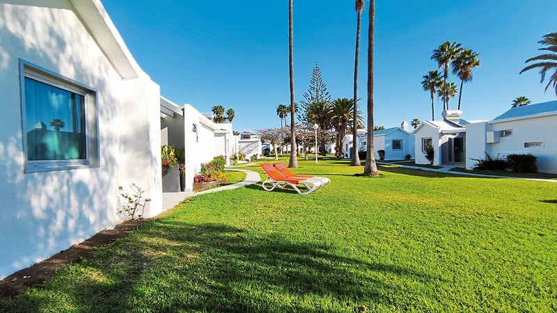 Canary Garden Club 20