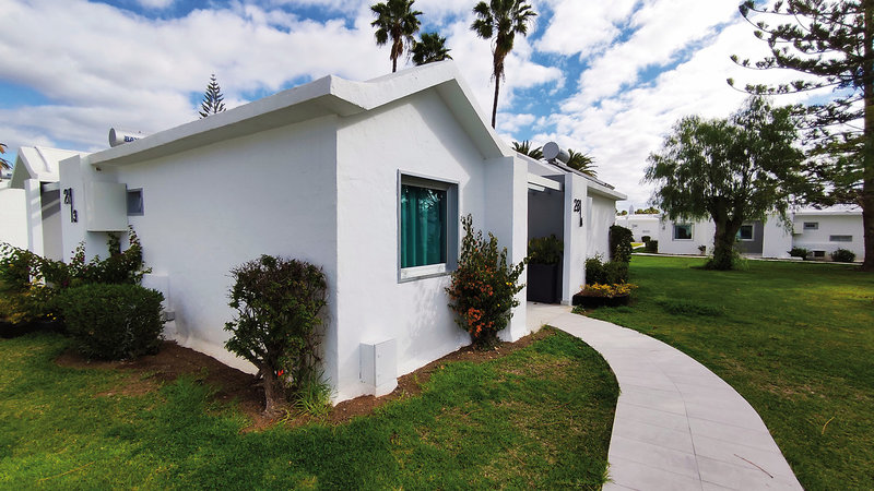 Canary Garden Club 26