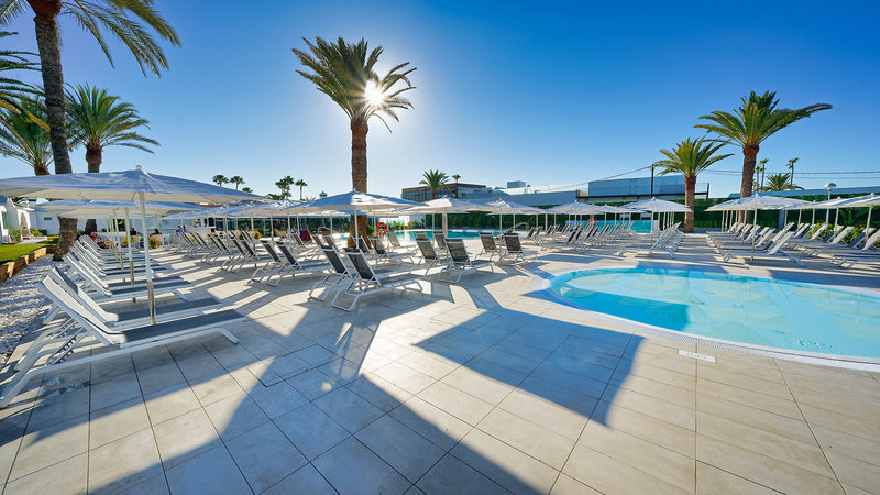 Canary Garden Club 3