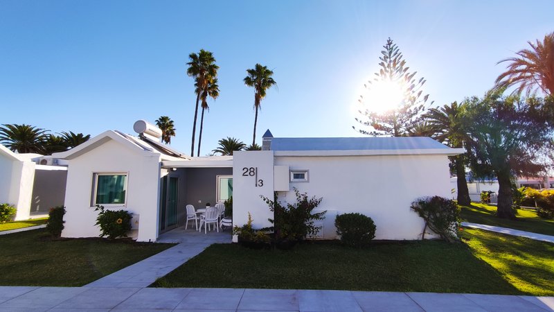 Canary Garden Club 23