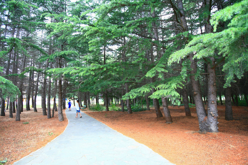 Park Hotel Continental 12