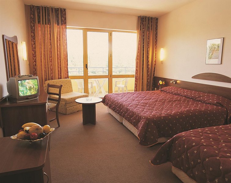 Park Hotel Continental 4