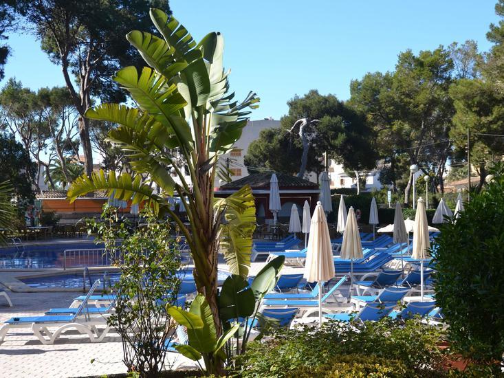Pabisa Sofia 2 - Outdoor Pool