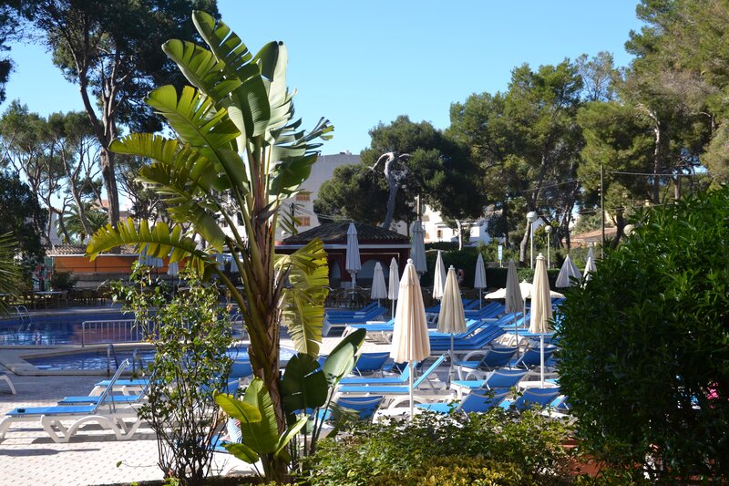 Hotel Pabisa Sofía 6