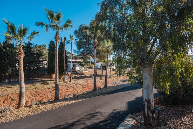 Iberostar Waves Cala Domingos 36