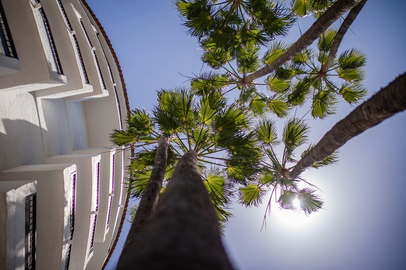 TUI SUNEO Waikiki 31