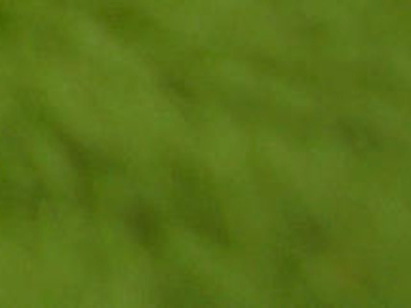 ROBINSON Cala Serena 45