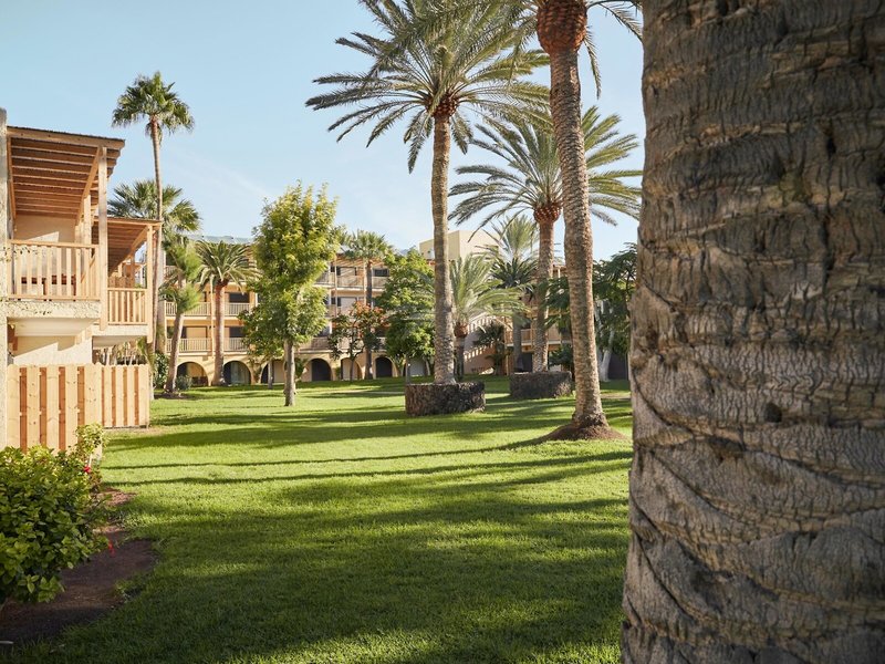 ROBINSON JANDIA PLAYA 14 - Garden